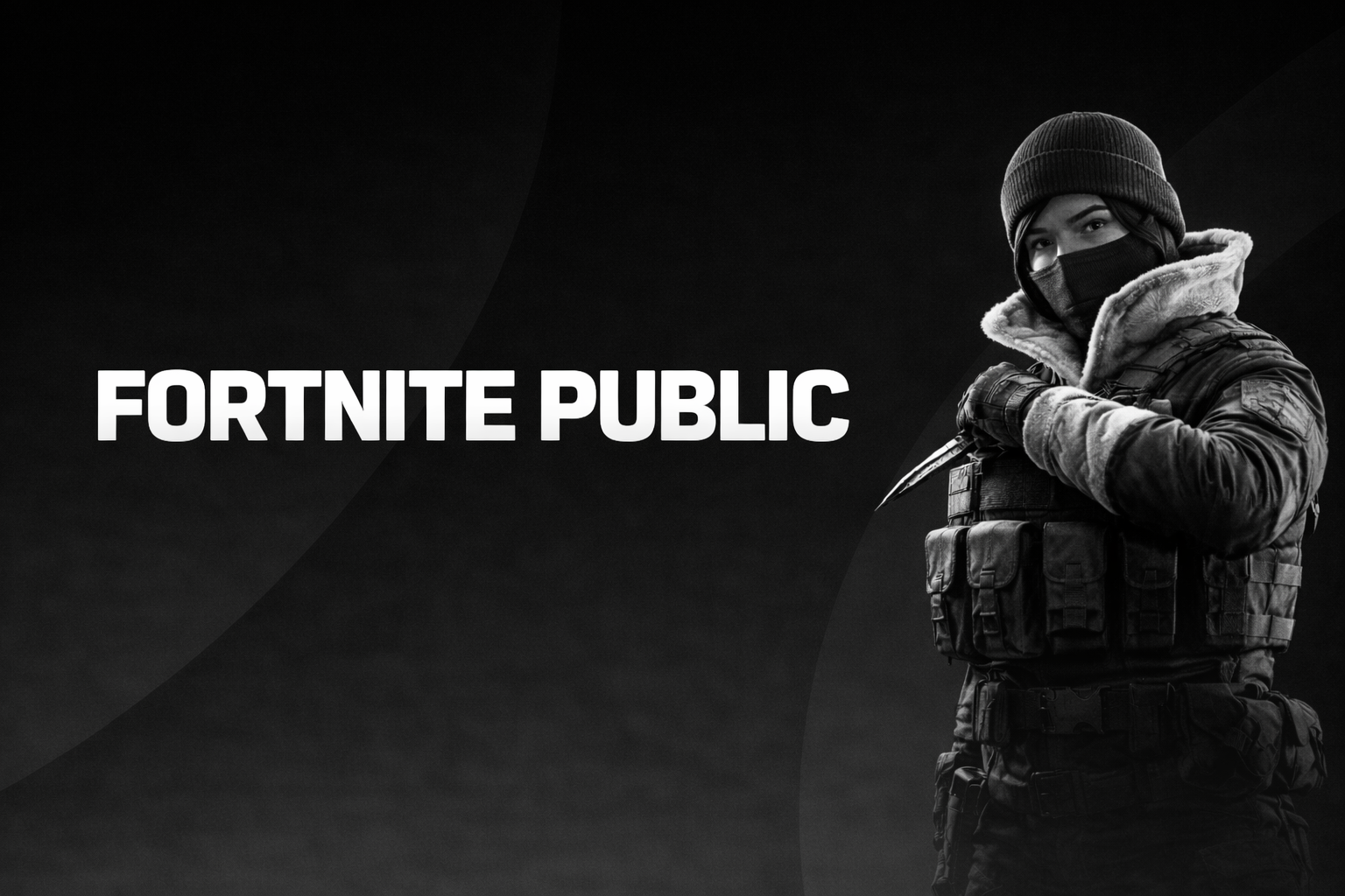 Fortnite Public